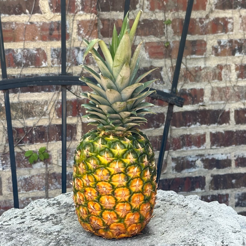 International Pineapple Day